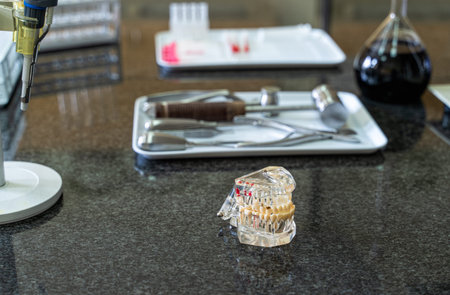 Artificial human jaw with tooth and surgical tools set on laboratory worktop, lab equipment and...