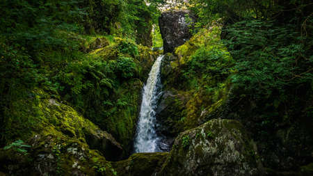 Small cascade on a mountain stream or creek, between mossy rocks, water flowing among stones, autumn, Wicklow, Irelandの写真素材