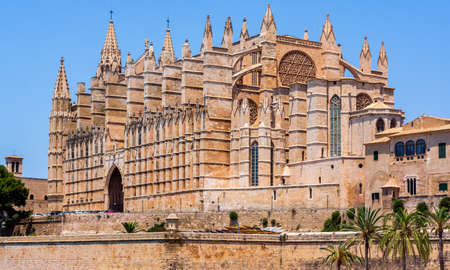 The Cathedral of Santa Maria of Palma in Mallorca with greenin palm trees in front, Balearic Islands, Spainのeditorial素材