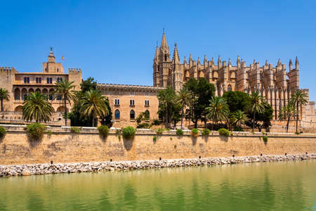 The Cathedral of Santa Maria of Palma in Mallorca with pond and green palm trees in front, Balearic Islands, Spainのeditorial素材