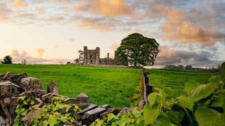 Ruins of old 12th century Bective Abbey, large green tree on side and surrounded by wall and green fields. Dramatic sky sunset. Count Meath, Irelandの写真素材