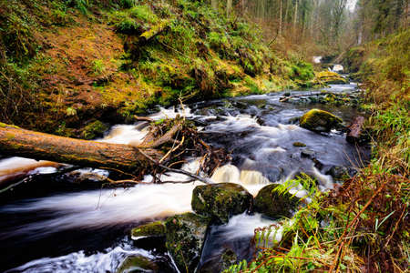 Cascades and waterfalls on a mountain stream or creek, between mossy rocks, in Glenariff Forest Park in autumn, County Antrim, Northern Irelandの写真素材