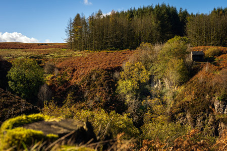 Autumn coloured trees in the valley of Glenariff Forest Park with waterfall and wooden shelter,...