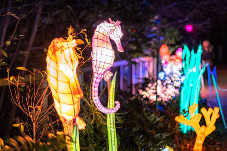 Dublin, Ireland, November 2018 Wild lights at Dublin zoo. Light displays of Ocean Lights, the Arctic and the North Pole themesのeditorial素材