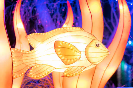 Dublin, Ireland, November 2018 Wild lights at Dublin zoo. Light displays of Ocean Lights, the Arctic and the North Pole themesのeditorial素材
