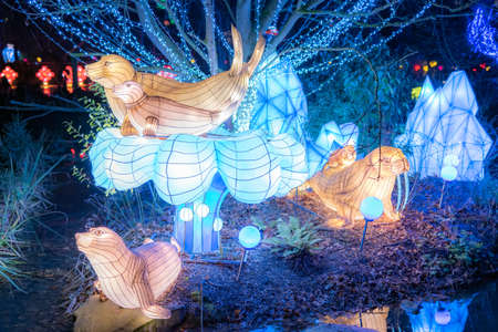 Dublin, Ireland, November 2018 Wild lights at Dublin zoo. Light displays of Ocean Lights, the Arctic and the North Pole themesのeditorial素材