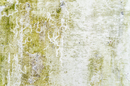 Old and grunge concrete or plaster wall with green moss patterns and cracks. High quality texture...