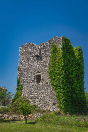 Small defence tower or castle from 16th century, Tower Kastelina, covered by green ivy in Zaton, Croatiaの写真素材