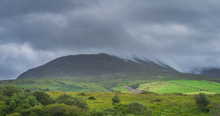 Green fields and forest at foothill of Carrauntoohil mountain, hidden in mist or cloud, dramatic storm sky in Blackvalley, Rink of Kerry, Irelandの写真素材