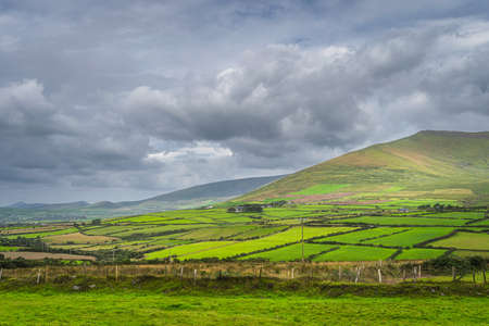 Green fields, pastures, farms and farmlands in Dingle mountains. Dramatic storm sky, Wild Atlantic Way, Kerry, Irelandの写真素材