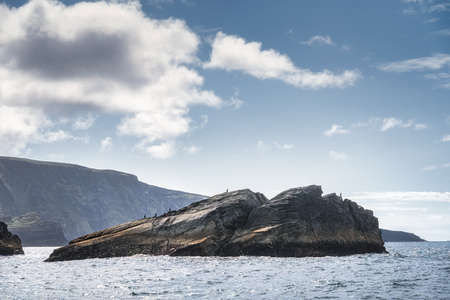 Silhouette of cormorant birds sitting on a rock with Kerry Cliffs in the background, Iveragh peninsula, Ring of Kerry, Wild Atlantic Way, Irelandの写真素材