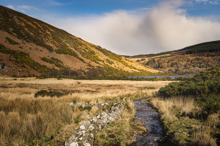 Old stone wall and a small river or stream leading to Lough Dan in a valley, Wicklow Mountains, Irelandの写真素材