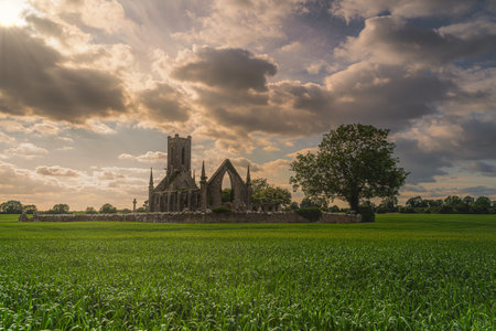 Old stone ruins and commentary of Ballinafagh Church with dramatic sky at sunset in background, County Kildare, Irelandの写真素材