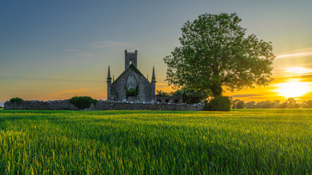 Cereal field illuminated by sunlight and old stone ruins of Ballinafagh Church with dramatic sky at sunset in background, County Kildare, Irelandの写真素材