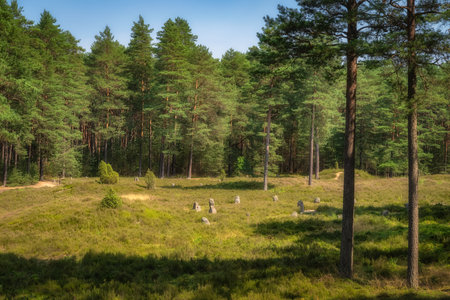 Stone Circles at Odry, an ancient burial and worship place from Bronze Age. UNESCO Archaeological and Natural Reserve, Pomerania, Polandの写真素材