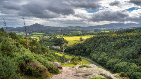 Scenic view from Lead mines viewpoint on green valley, pine forest and Sugarloaf Mountain in a distance. Hiking in Wicklow Mountains, Irelandの写真素材
