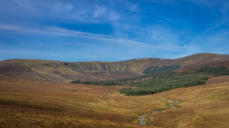 Beautiful vista with stream leading to the forest and Lough Ouler that hiding behind it. Foothill of Tonelagee Mountain, Wicklow Mountains, Irelandの写真素材