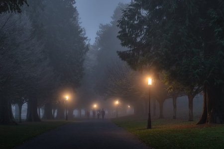Blurred people, family, that walks in thick fog, on road surrounded by trees and illuminated by street lamps in Phoenix Park, Dublin, Irelandの写真素材
