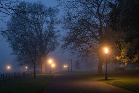 Silhouette of trees illuminated by vintage street lamps, vanishing in thick fog at night. Moody Phoenix Park, Dublin, Irelandの写真素材