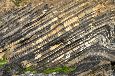 A stunning closeup view of layered rock showcasing intricate patterns and textures formed over time, perfect for geological studies, Loughshinny, Dublin, Irelandの写真素材