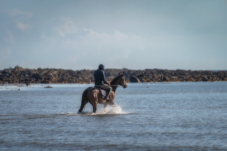 A rider on horseback splashes joyfully through the shallow, glistening waters, fully immersed in a serene and breathtaking coastal landscape beneath a clear blue sky, Loughshinny, Dublin, Irelandの写真素材