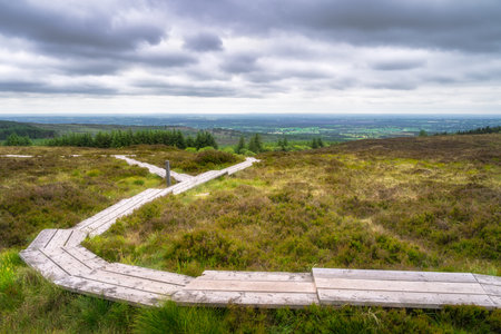 A peaceful and serene wooden walkway gracefully meanders through a lush and verdant landscape, Slieve Bloom, offering breathtaking panoramic views beneath a dramatic, cloud filled sky, Irelandの写真素材