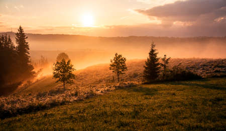 fog hovering above the meadow against the setting sun with golden treesの写真素材