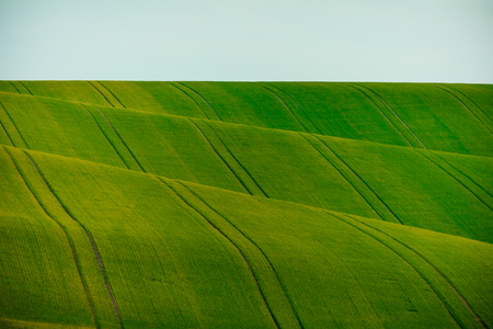 moravian fields in czech republic. rural life during a sunny spring. arable fields prepared for sowing the grain. green backgroundの写真素材