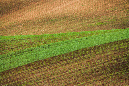 moravian fields in czech republic. rural life during a sunny spring. arable fields prepared for sowing the grain. green backgroundの写真素材