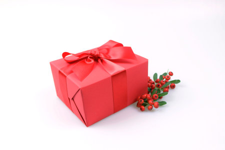 christmas gift