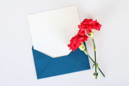 Beautiful red carnationの写真素材