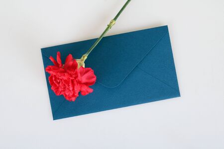 Beautiful red carnationの写真素材