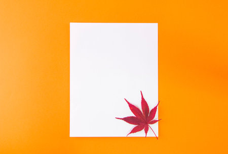 Autumn Maple Leafs