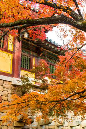 Beautiful Autumn Landscapeのeditorial素材