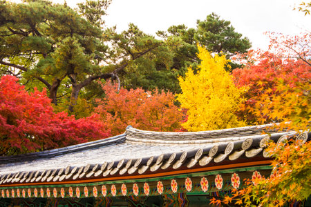 Beautiful Autumn Landscapeのeditorial素材