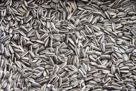 sunflower seeds