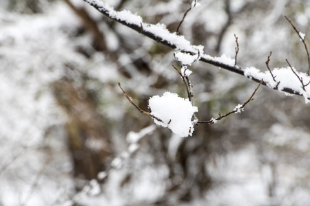 beautiful winterの写真素材