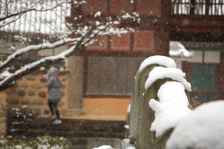 beautiful winterの写真素材