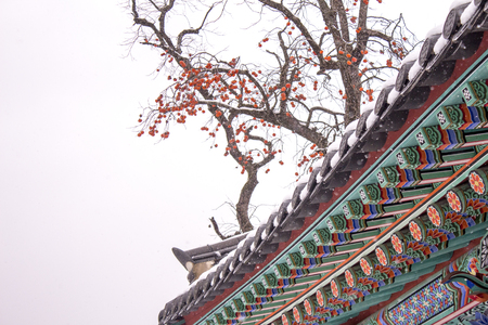 beautiful winterの写真素材