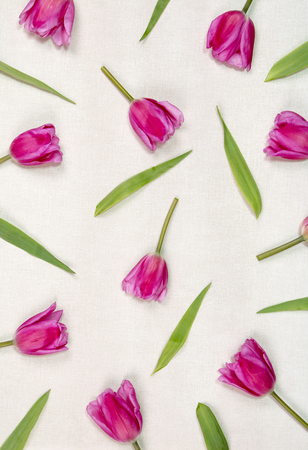 Beautiful Flower in springの写真素材