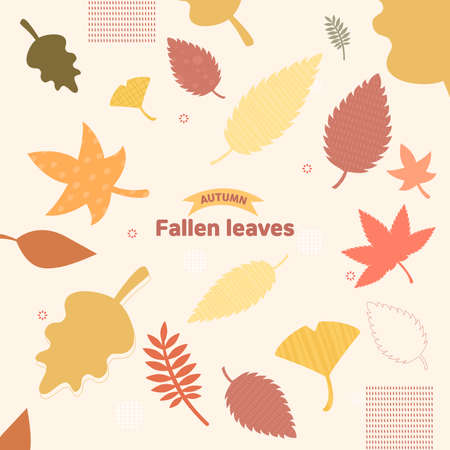 Soft autumn images: Autumn illustration Leavesのイラスト素材