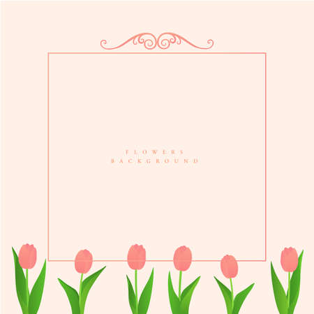 Various Spring Flower Frame Collectionsのイラスト素材