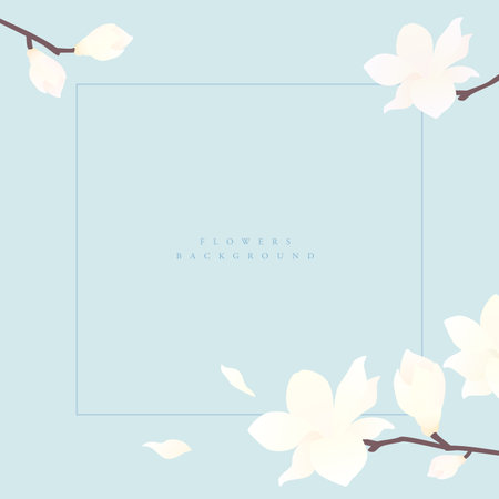 Various Spring Flower Frame Collectionsのイラスト素材