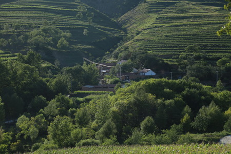 Small village in the dense woodsの写真素材