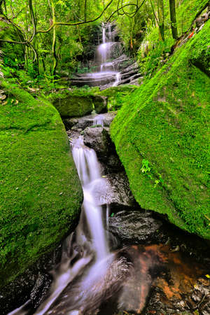 Streamの写真素材