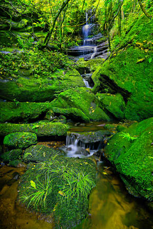 streamの写真素材