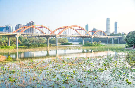 Spring lotus pond scenery at city chinaの写真素材