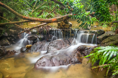 Shenzhen Mountain Park