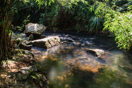 stream river at Maluanshan Countryside Park, shenzhen