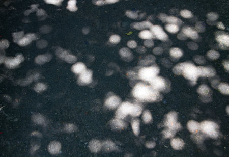 sunlight Spot on floor